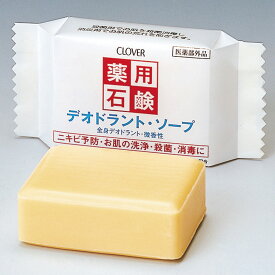 【1点】 ハンドソープ 薬用 デオドラントソープ アーテック プロステ