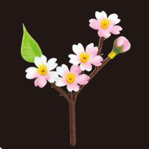 y2000z J 单H 00705080 vXe