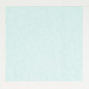 y100z C~ pXeJ[ O[ 75×75cm vXe