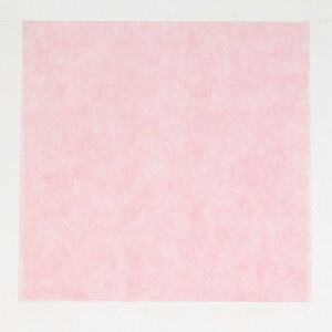 y1200zC~ pXeJ[ sN 75×75cm 00324751 vXe