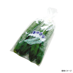 y5000zʗp H NEWVNpbN イ() 00401060 vXe