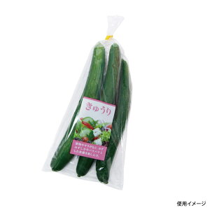 y5000zʗp H NbN`CX イ 00401117 vXe