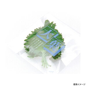 y5000zʗp H NxێpbN t(e[vt) 00401121 vXe