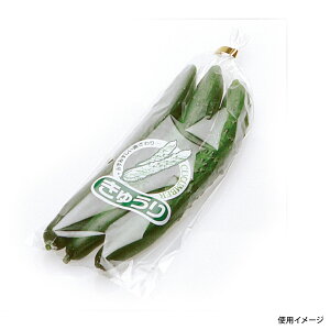 y10000zʗp H VNpbN イ() 00401132 vXe