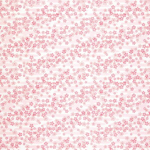 y2000zC~ AJg 500  Oi 00413537 vXe