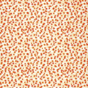 y1600zC~ AJg 660 ݂ Oi 00413545 vXe