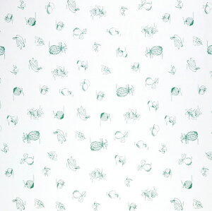 y800zC~ AJg 1000 t[c Oi 00413609 vXe