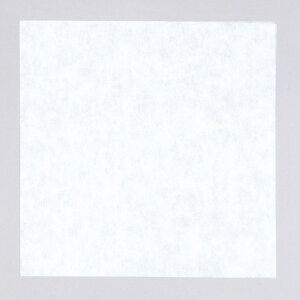 y100z C~ pXeJ[ zCg 75×75cm vXe