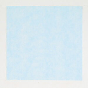 y100z C~ pXeJ[ u[ 66×66cm vXe