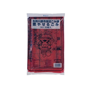 y20zWpbNX S~ ܏쌴sw R () 20P 00463828 vXe