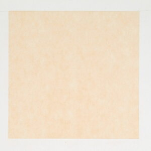 y1200zC~ pXeJ[ x[W 75×75cm 00685019 vXe