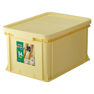 y3zЕpi ̒Mp54^ I X 00408578 vXe