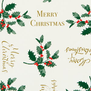 y1܁zNX}XqCM -1(50) 00414230 vXe