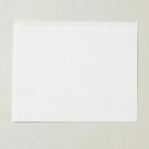 y10000zp PpbN 00415735 vXe