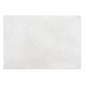 y3000zpV[g ۑZp[cV[g350×500 00416179 vXe