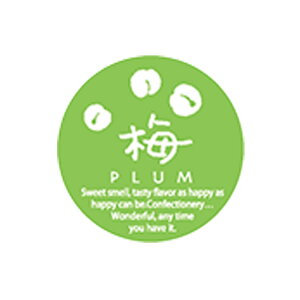 y200z̑V[ G-731 ~jV[ ~ 00416280 vXe