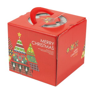 y100zP[L 20-2322 Jtc[4.5 }jpbP[W 00418347 vXe