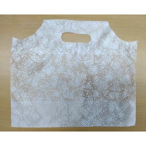 y1000zA EOE TChobO m-1 u[P P[L2p 00445697 vXe