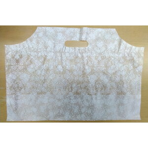 y500zA EOE TChobO m-1 u[P  00445700 vXe