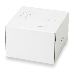 y100zΓn fR[VP[L v[ 130H 4 00465307