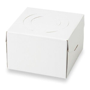 y100zΓn fR[VP[L v[ 130H 5 00465311