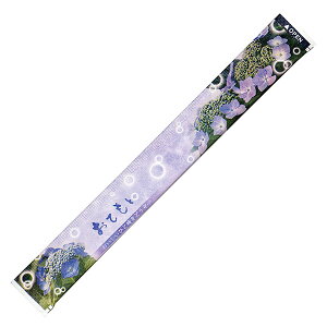 y100_z tJ[ BH 00731834