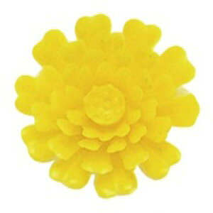 y20000zA-54  e 20A c 00304781 vXe