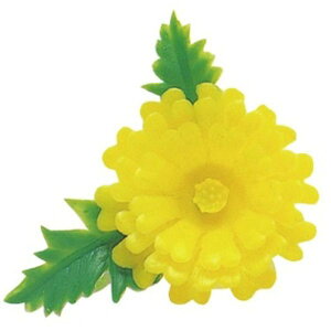 y4000zA-61  ~je  c 00448911 vXe