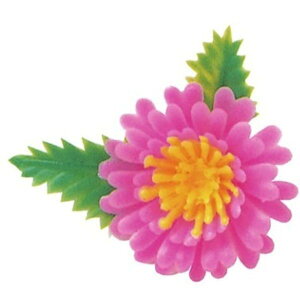 y4000zA-63  ~jesNc[g c 00531588 vXe