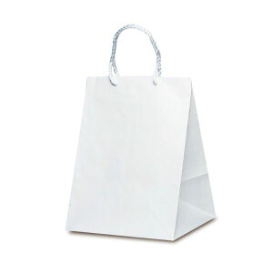 【50枚】紙袋 ベルベ 1407 手提袋 グレートバッグ No.7 00669834 プロステ