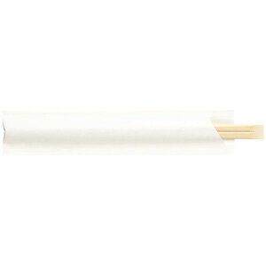 y25܁zH 蔢 |V21cm nё 100V 00728141 vXe