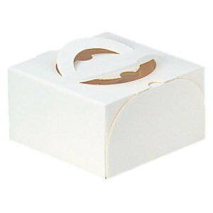 y100z}jpbP[W P[L GRKg[5g[Ȃ 00319270