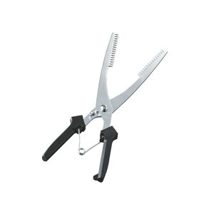 y1zJ_  ͂΂ SK-4049 00490458 vXe