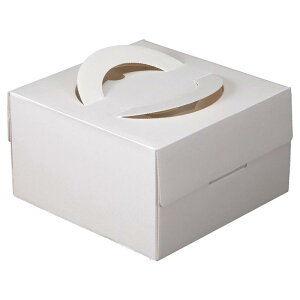 y100z}jpbP[W P[L GRfR5g[Ȃ 00733844