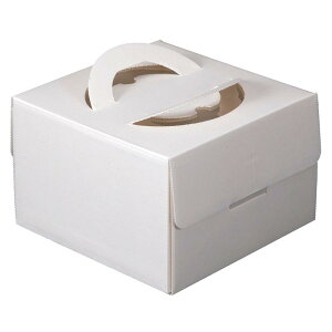 y200z}jpbP[W P[L Ag4.5䎆t 00733856