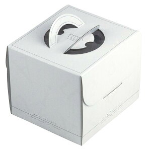 y100z}jpbP[W P[L Ajo[T[fR 4.5 䎆ی^t 00733878