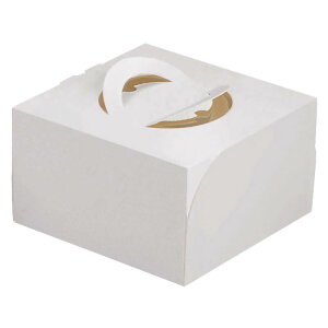 y100z}jpbP[W P[L GRfR150 5g[t 00733899