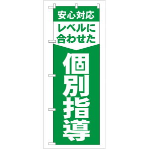 y1zPEOEPv_Nc [G] xɍ킹ʎw ̂ڂ GNB-61 00716012 vXe