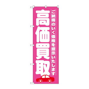 y1zPEOEPv_Nc [G]  sN ̂ڂ GNB-1528 00717702 vXe