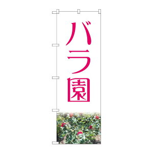 y1zPEOEPv_Nc [N] ̂ڂ o NAD No.82701 00724174 vXe