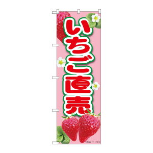 y1zPEOEPv_Nc [N] ̂ڂ sN MTM 84430 00724449 vXe