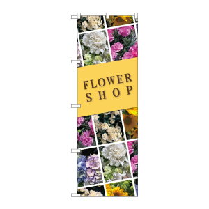 y1zPEOEPv_Nc [N] ̂ڂ  ΂߃t[^ KMN 81814 00724478 vXe