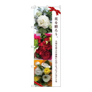 y1zPEOEPv_Nc [N] ̂ڂ Ԃ𑡂낤 Mtg KMN 81817 00724481 vXe