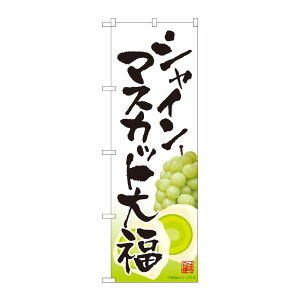 y1zPEOEPv_Nc [N] ̂ڂ VC}XJbg啟  MTM 81287 00724870 vXe