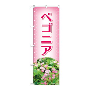 y1zPEOEPv_Nc [N] ̂ڂ xSjA sN ʐ^ OTM No.84223 00727542 vXe