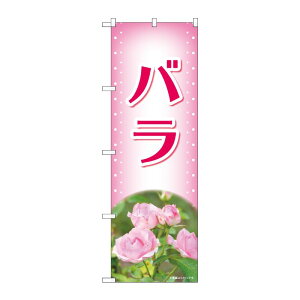 y1zPEOEPv_Nc [N] ̂ڂ o sN ʐ^ OTM No.84226 00727545 vXe