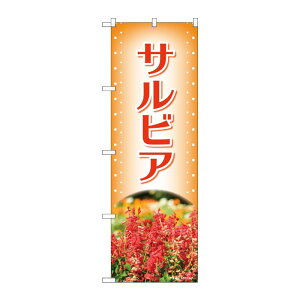 y1zPEOEPv_Nc [N] ̂ڂ TrA IW ʐ^ OTM No.84227 00727546 vXe