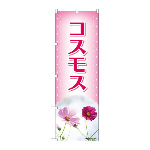 y1zPEOEPv_Nc [N] ̂ڂ RXX sN ʐ^ OTM No.84228 00727547 vXe