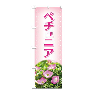 y1zPEOEPv_Nc [N] ̂ڂ y`jA sN ʐ^ OTM No.84229 00727548 vXe