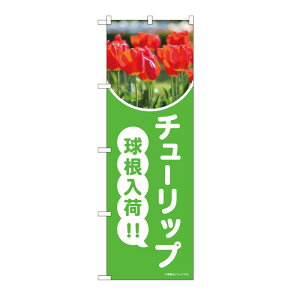 y1zPEOEPv_Nc [N] ̂ڂ `[bv  ʐ^ OTM No.84233 00727964 vXe